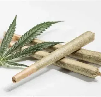 pre roll cbd gelato